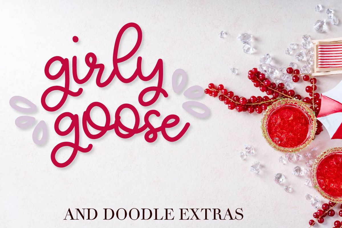 Girly Goose - A Fun Script Font with Doodle Extras example image 1