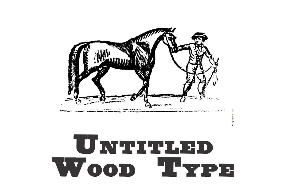 Untitled Wood Type example image 1