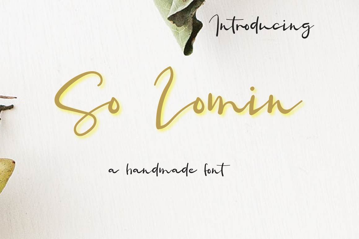 So Lomin Script Font example image 1