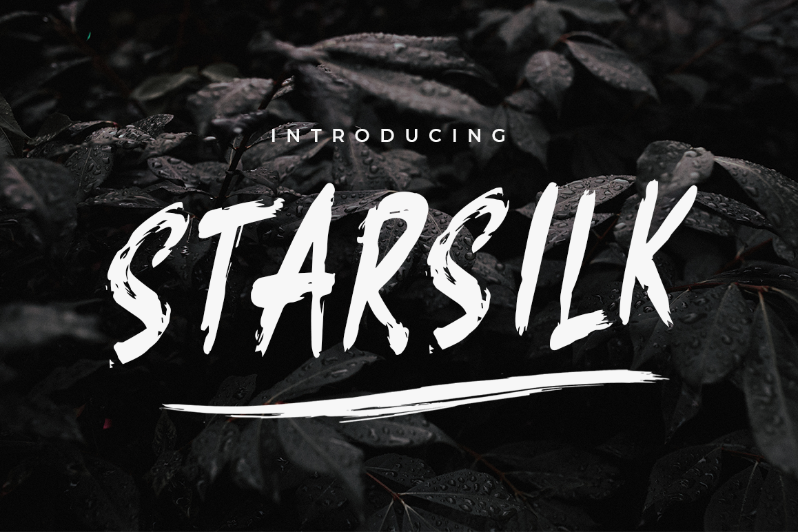 Starsilk Brush Font example image 1