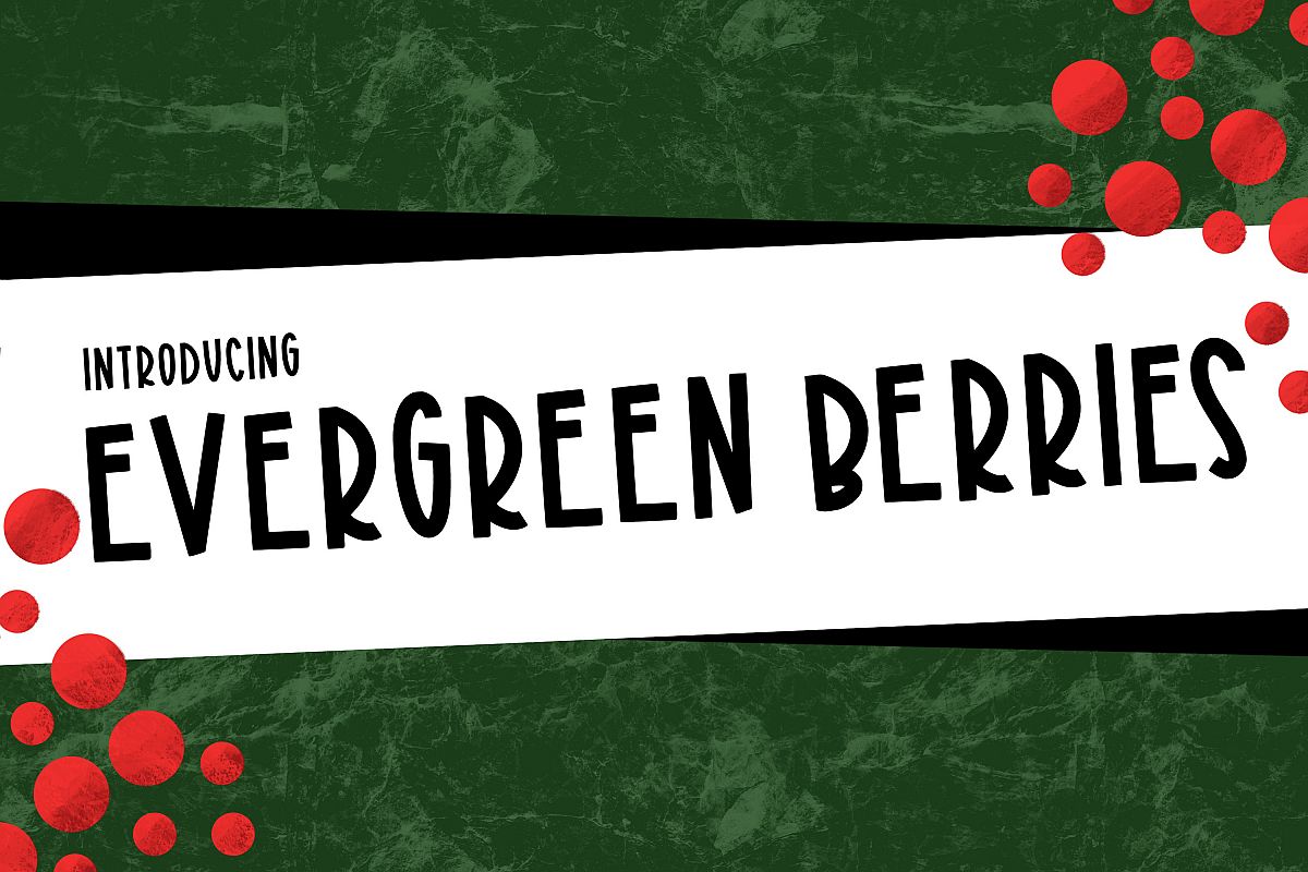 Evergreen Berries a Joyful Font example image 1