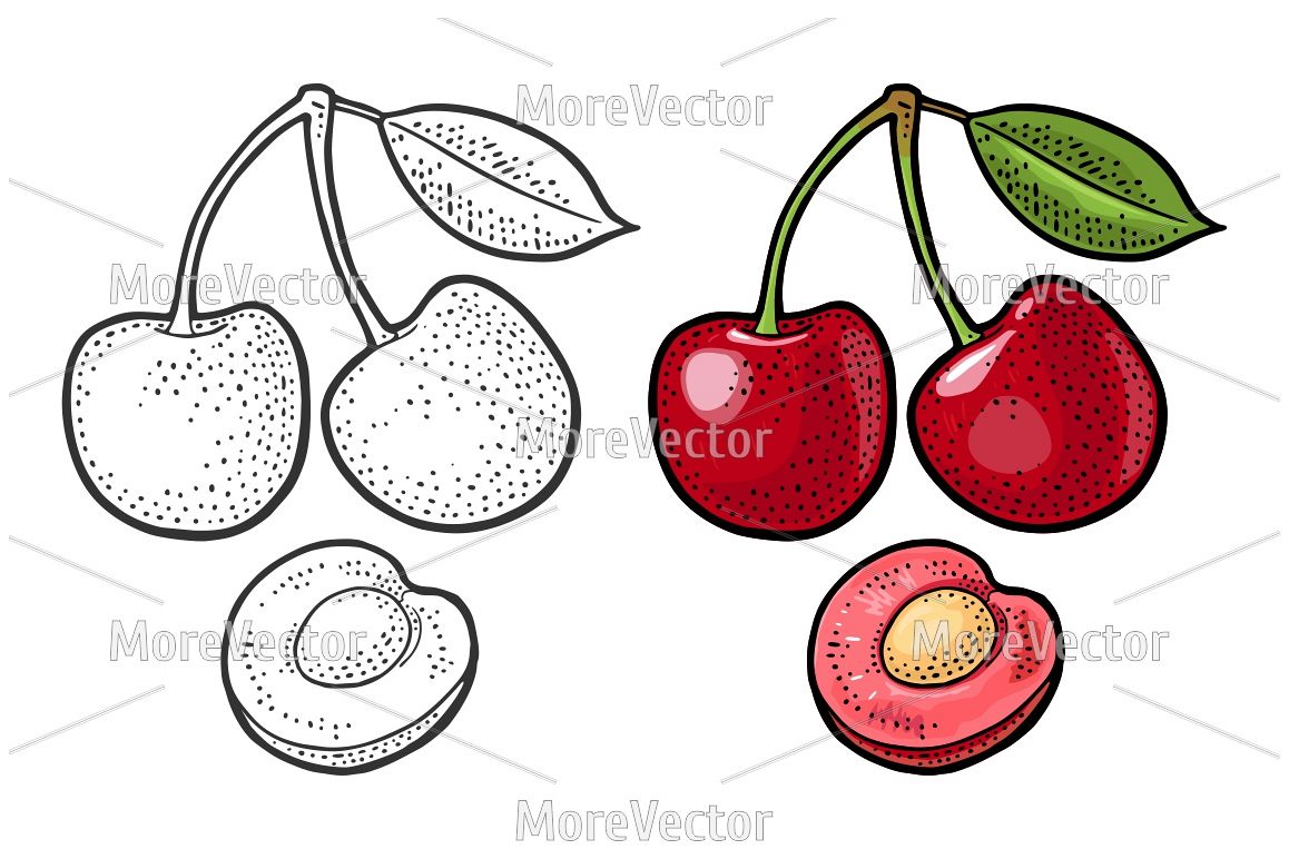 Whole and half cherry berry with seed and leaf. example image 1
