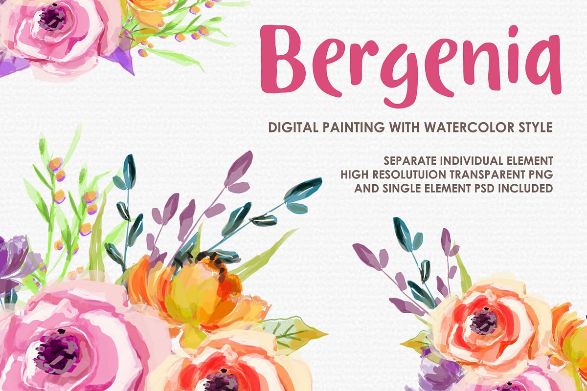 Bergenia - Digital Watercolor Floral Flower Style Clipart example image 1