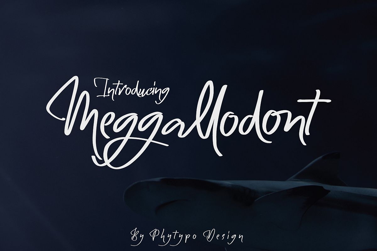 Meggallodont example image 1