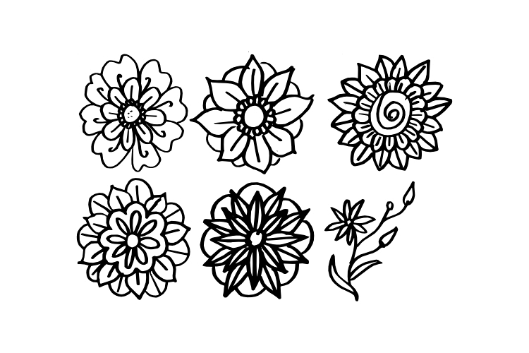 Hand Drawn Flower Vector example image 1