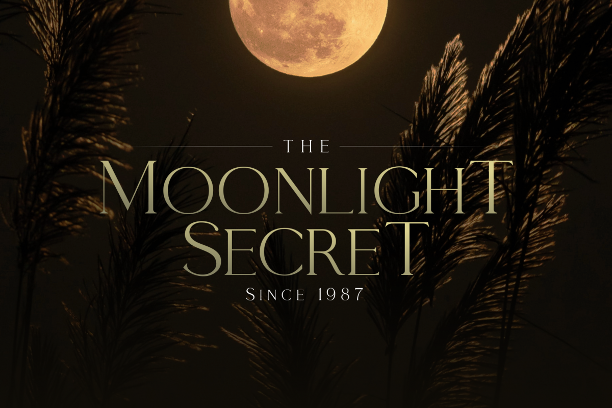 Moonlight Secret - by Giveaway Serif Font example image 1