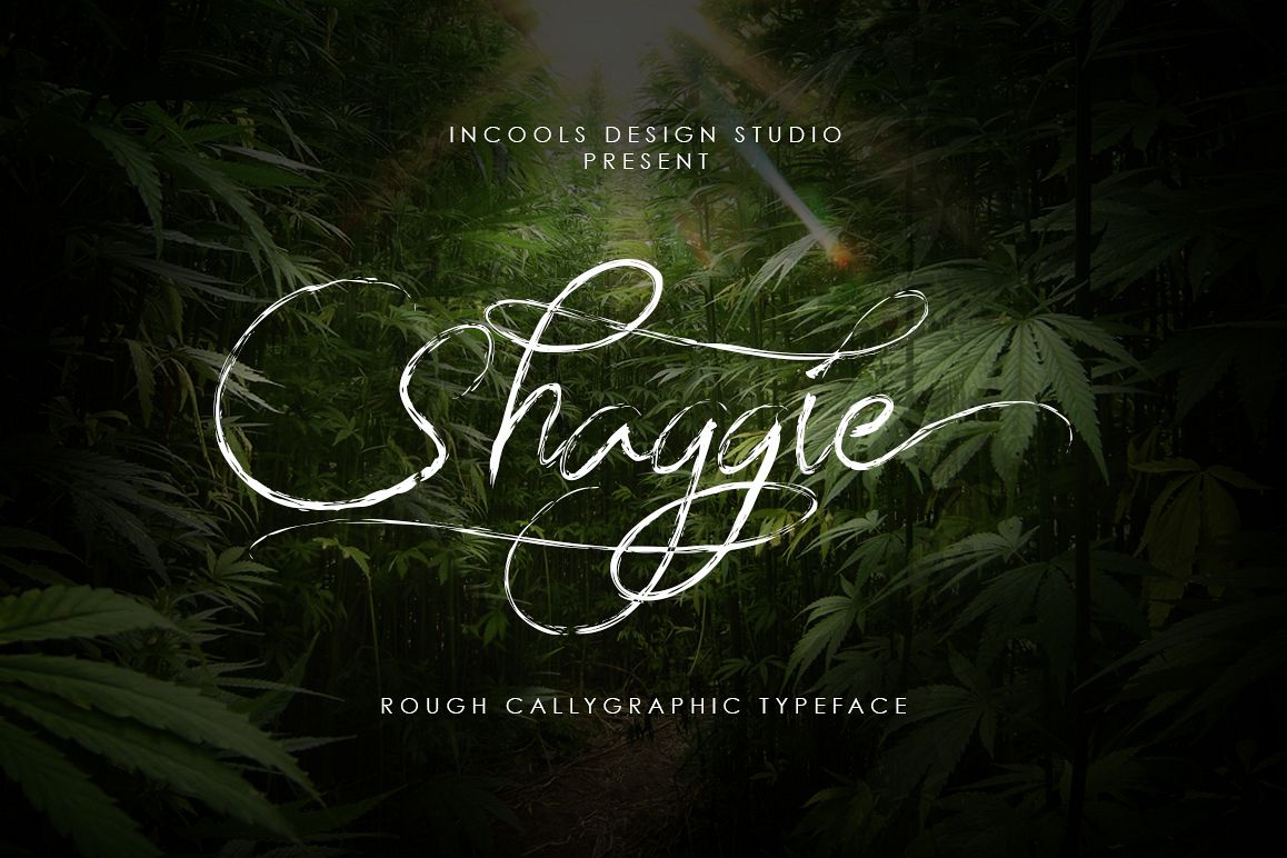 Shaggie example image 1