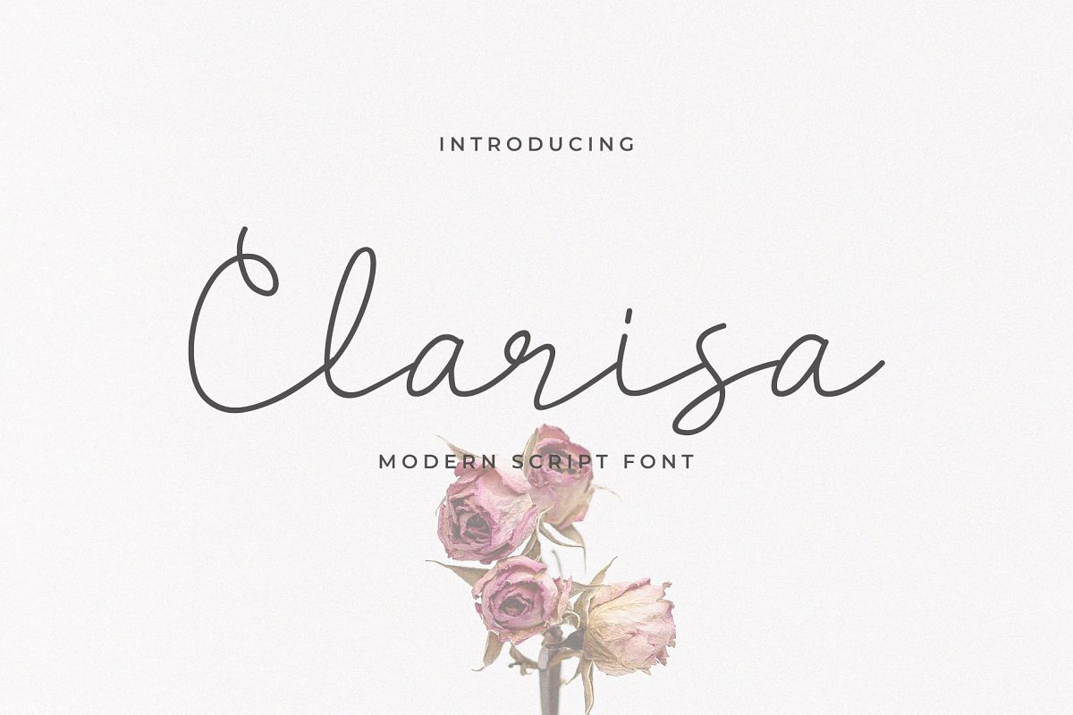 Clarisa Script Font example image 1
