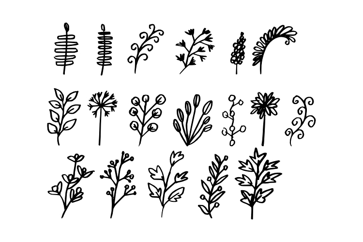Hand Drawn Leaf Vector example image 1