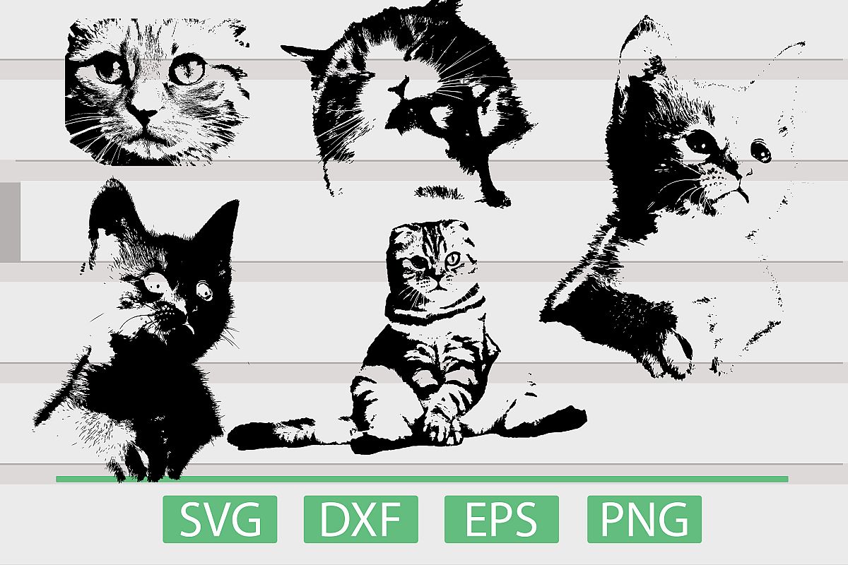 Cat SVG example image 1