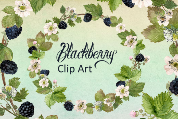 Watercolor Blackberries Clip Art example image 1