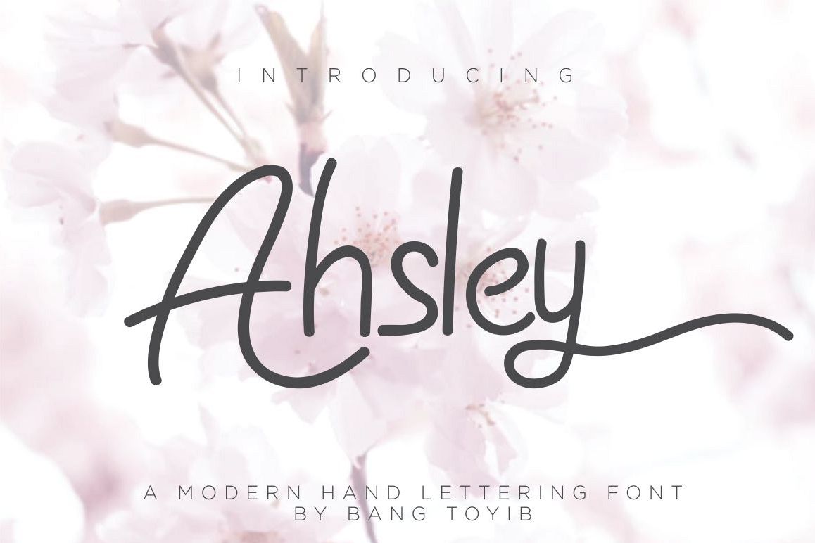 Ahsley - Beautiful Font example image 1