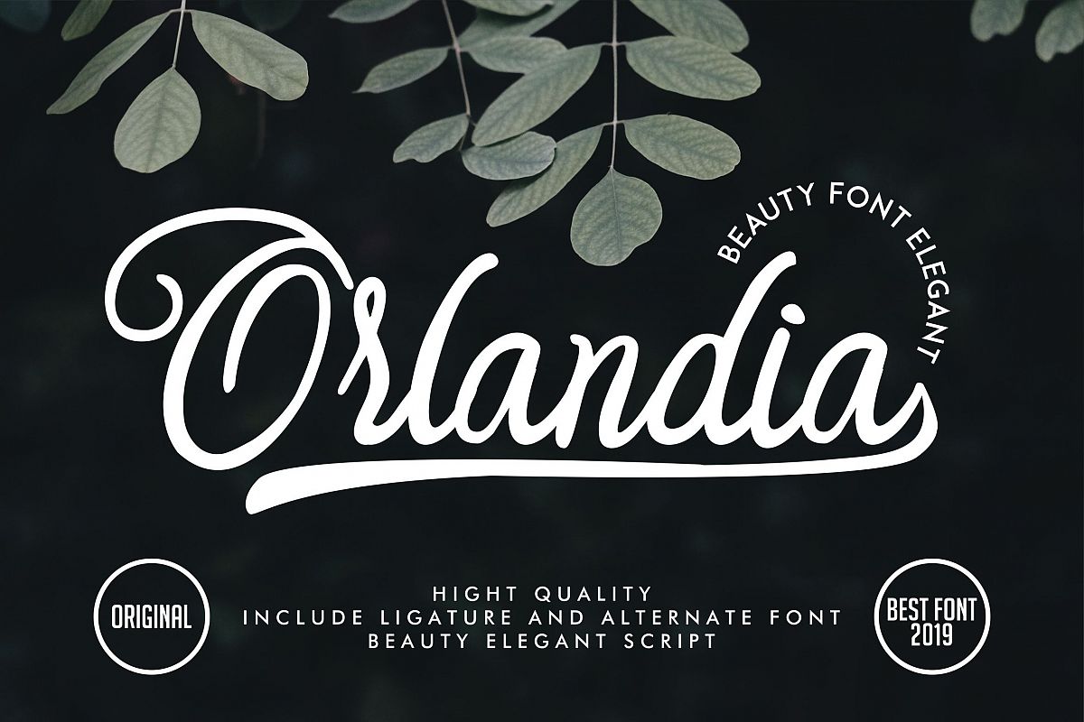 Orlandia | Beauty Font Elegant example image 1