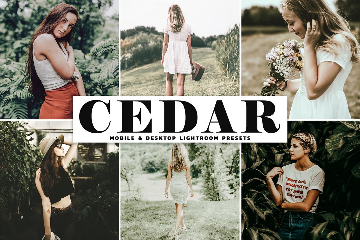 Cedar Mobile & Desktop Lightroom Presets example image 1