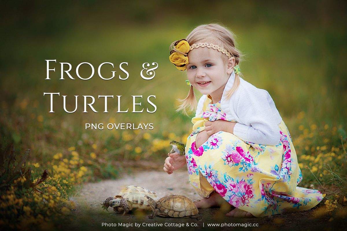Frogs & Turtles Fantasy Animal Photo Overlays example image 1