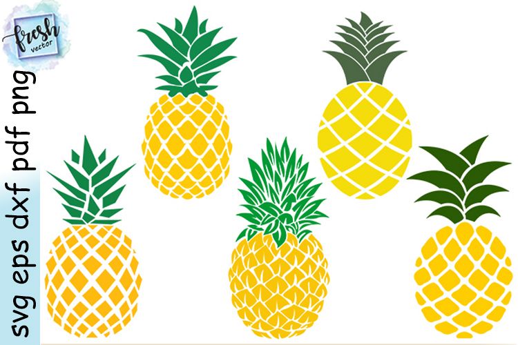 Pineapple Svg Bundle Pineapple Clipart Summer Svg Fruit Svg (533892