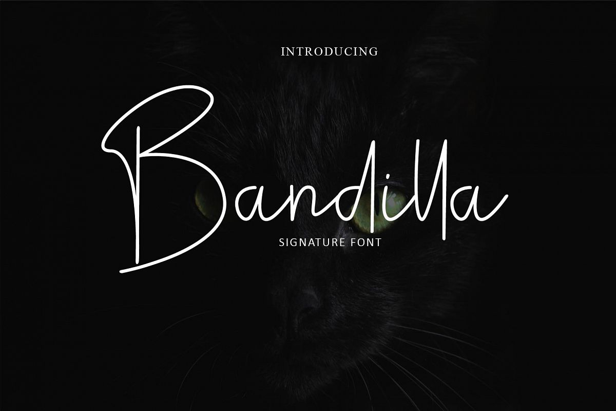 Bandilla example image 1