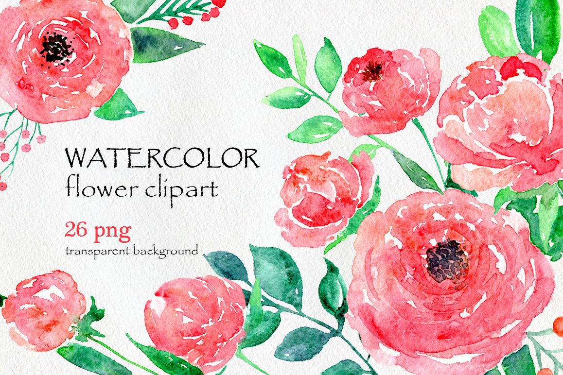 Watercolor flower peony, 26 in set example image 1