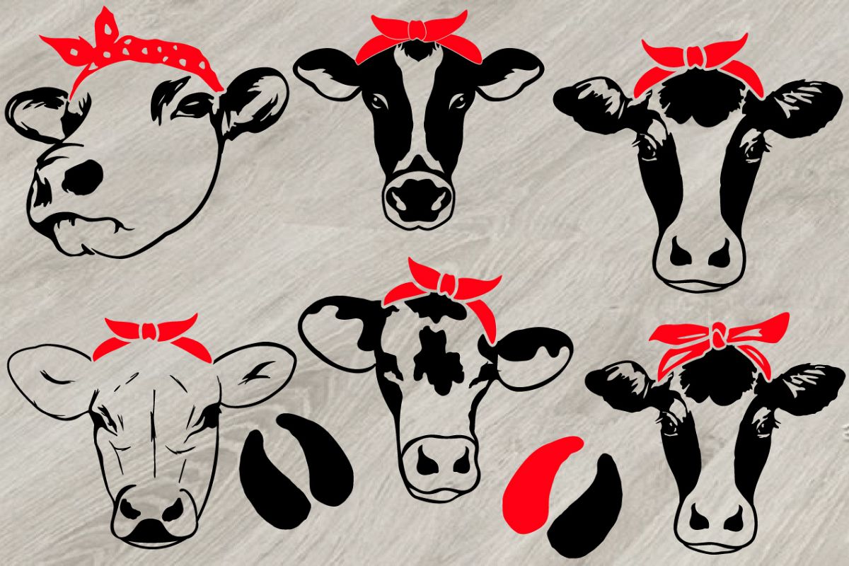 Download Cow Head whit Bandana SVG, cowboy western Farm Milk 779S