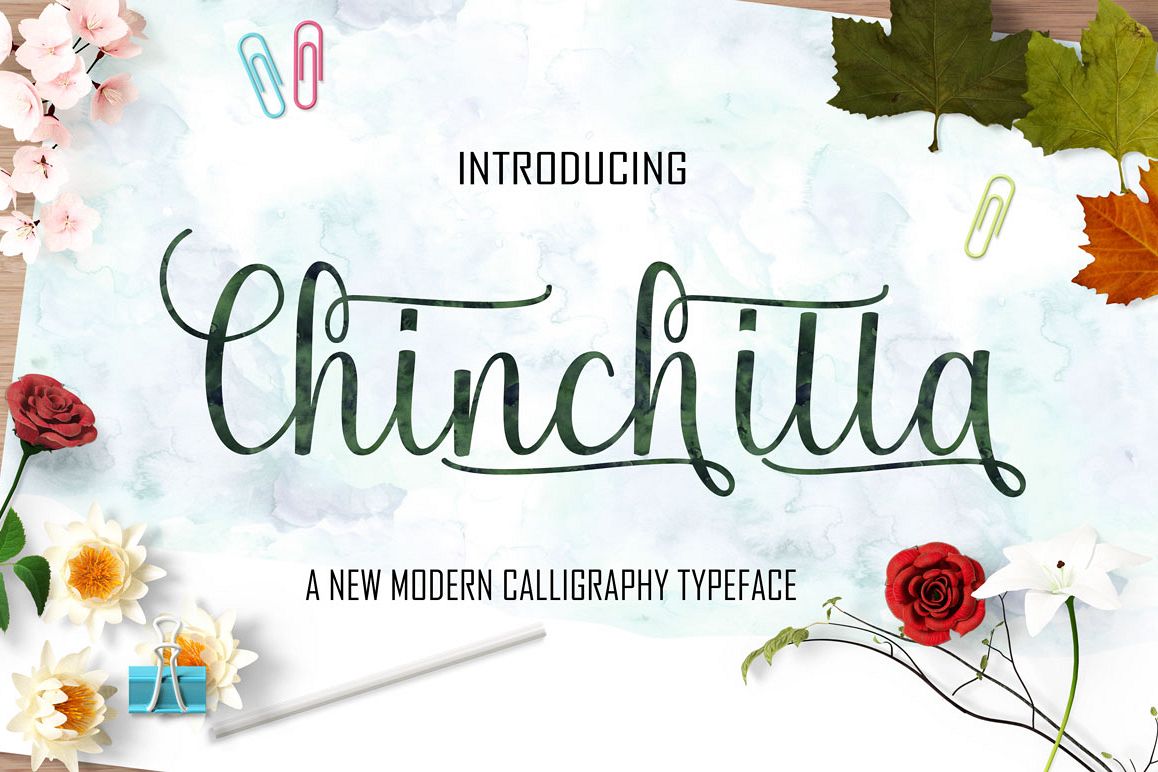 Chinchilla example image 1