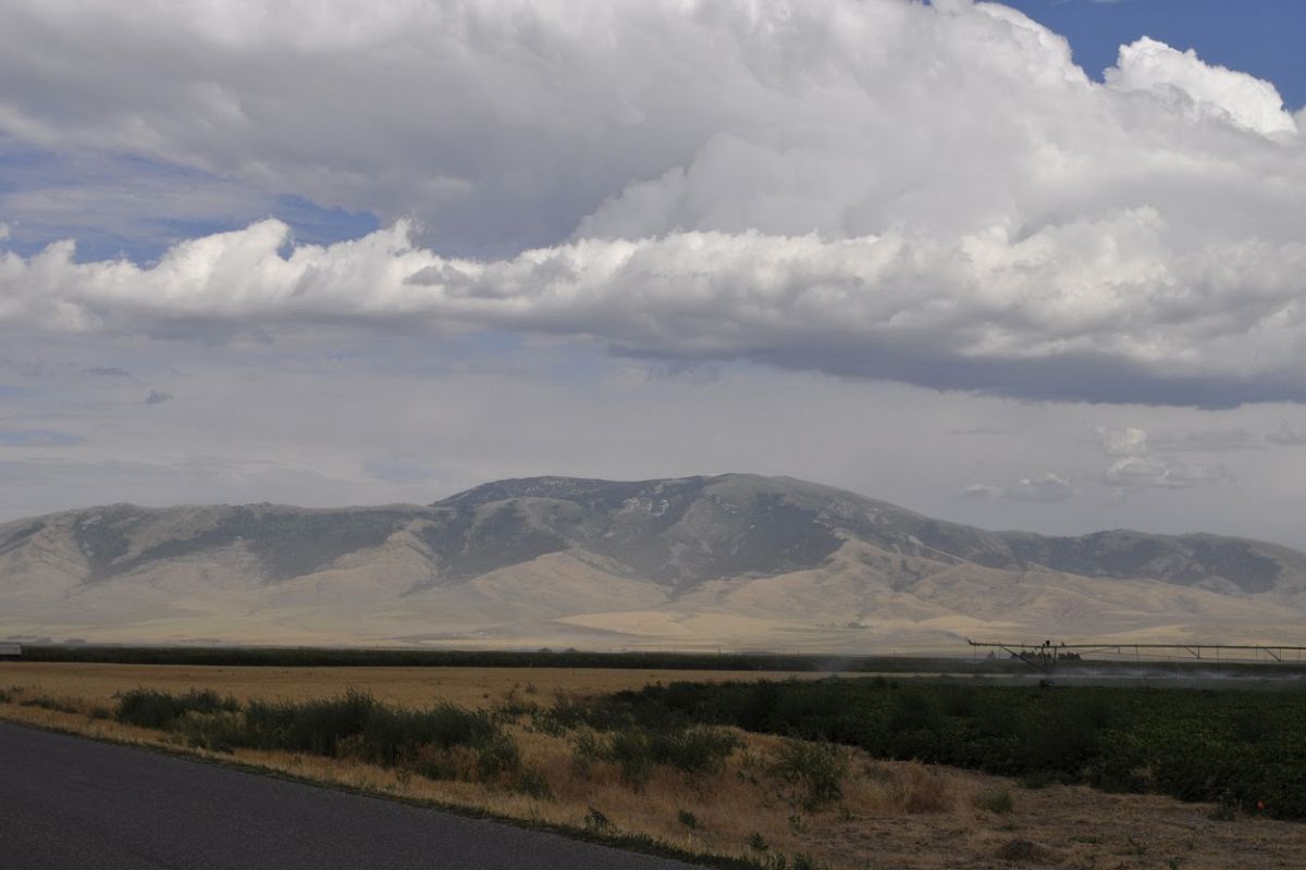 DIGITAL PHOTOGRAPHY example image 1