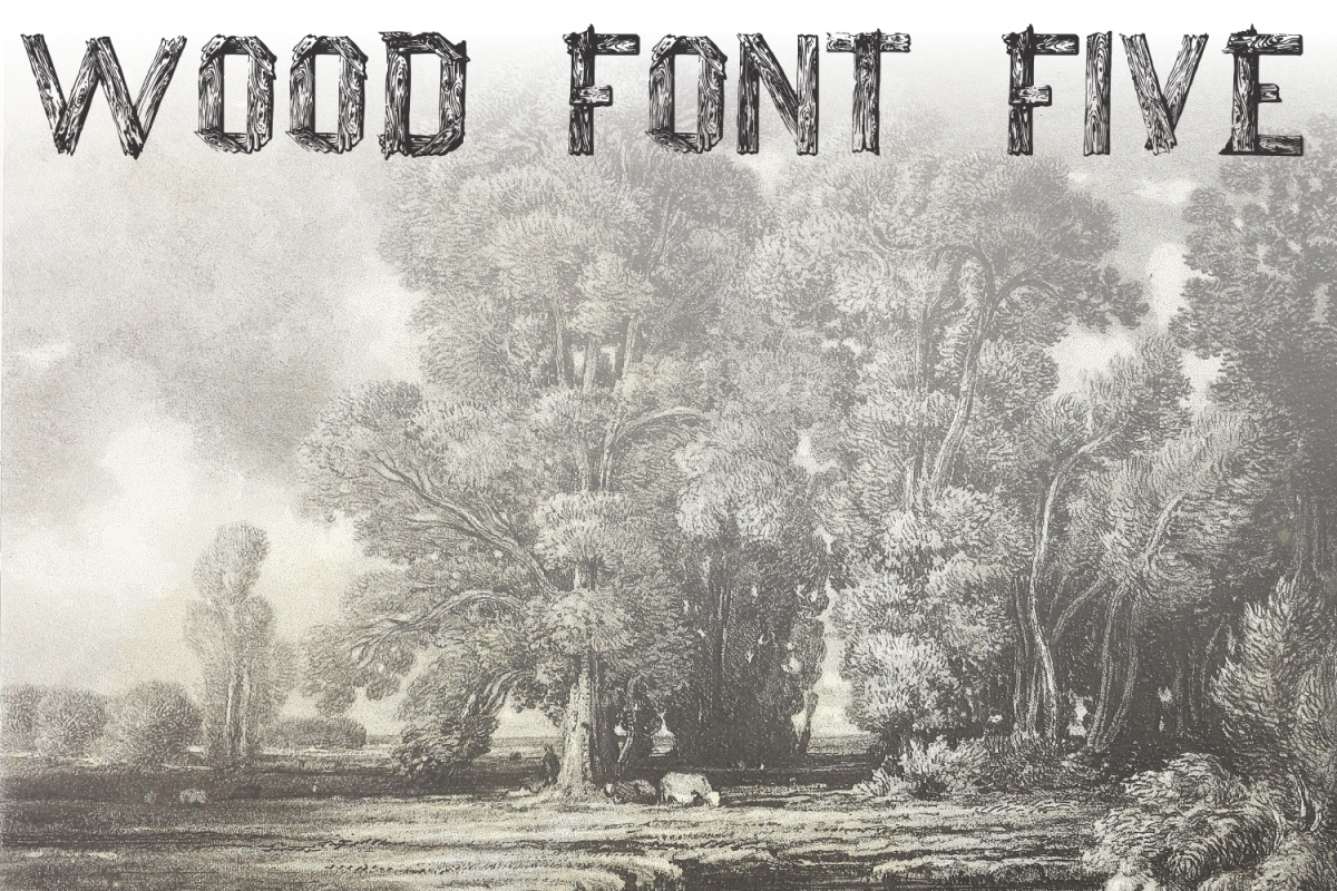 Wood Font Five example image 1