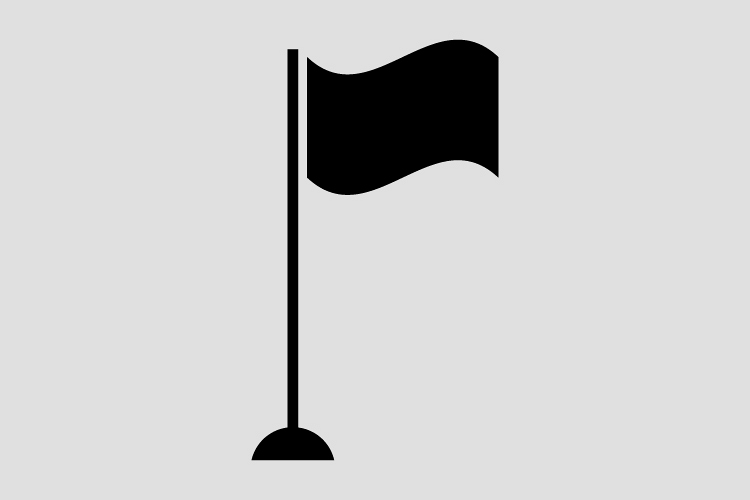 Flag icon example image 1