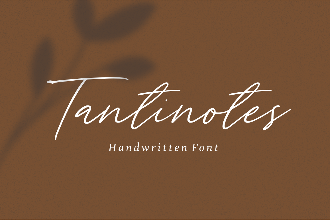 Tantinotes - Handwritten Font example image 1
