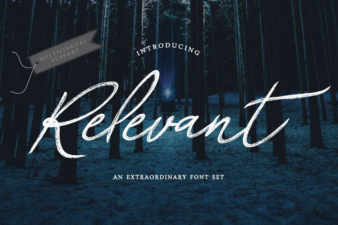 Relevant Brush Typeface example image 1