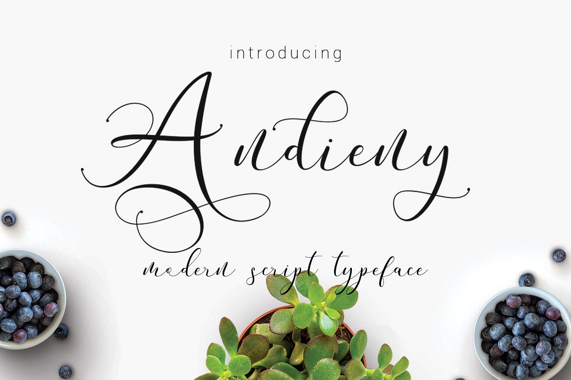 Andieny Script example image 1