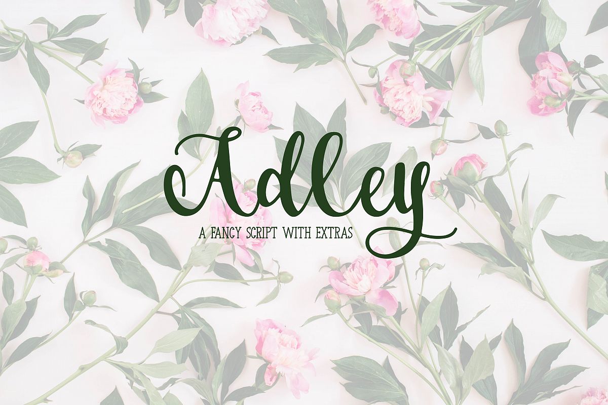 Adley - A Fancy Script example image 1