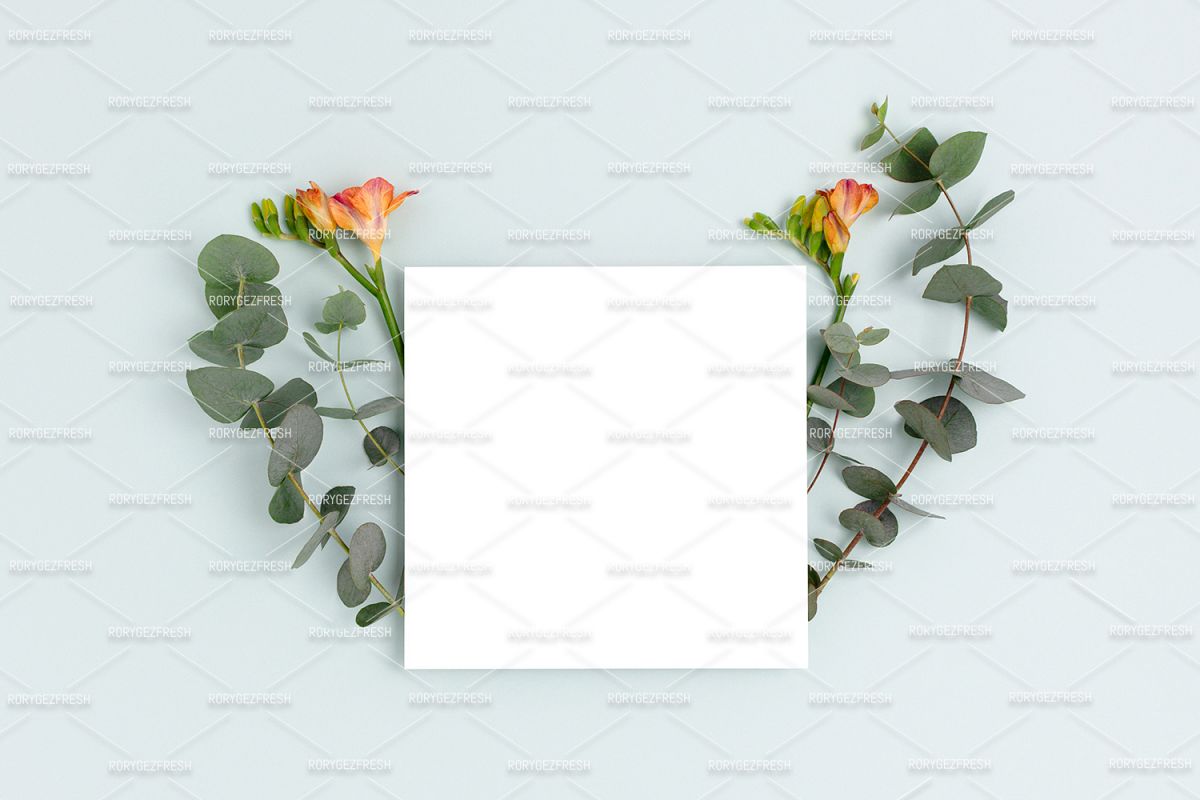 Paper card mockup with copy space. Frame made of eucalyptus example image 1