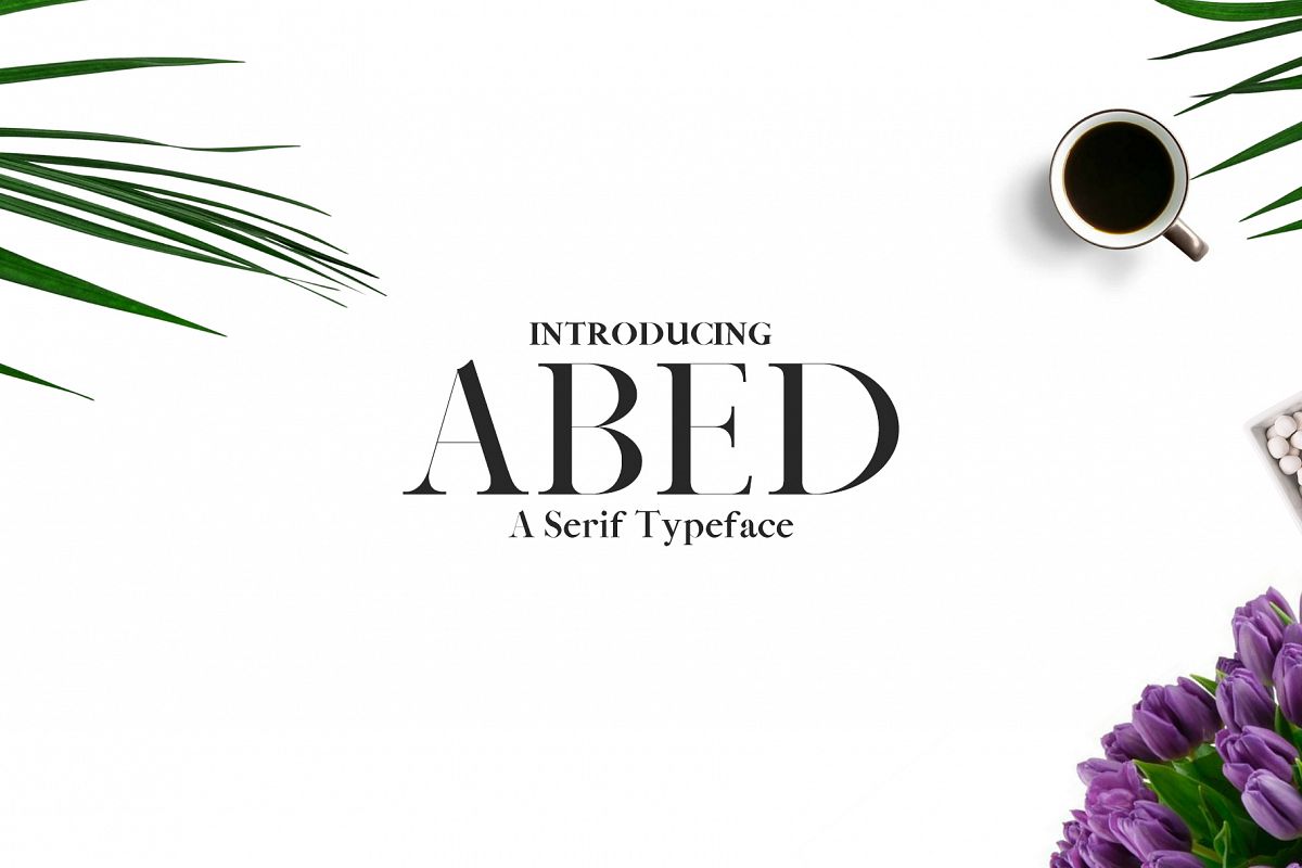Abed Serif 5 Font Family Pack example image 1