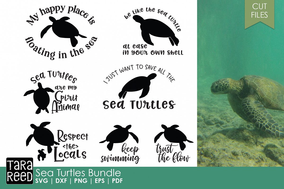 Sea Turtles - Sea Turtle SVG and Cut Files for Crafters (97453) | Cut Files | Design Bundles