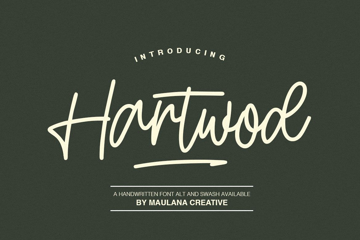 Hartwod Handwritten Font example image 1