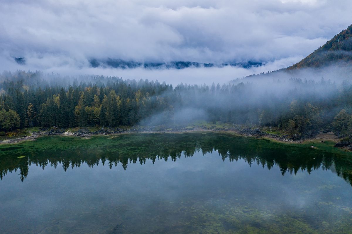 Misty and foggy forest from above example image 1