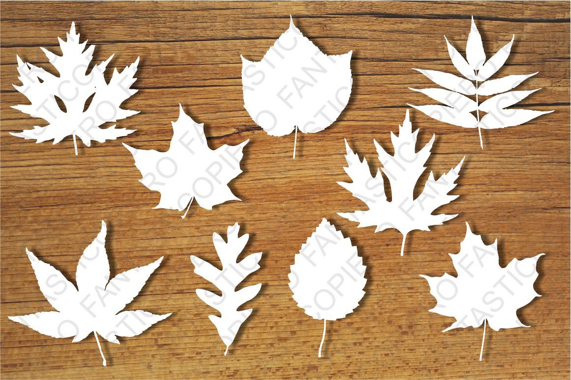 Download Leaves SVG files for Silhouette Cameo and Cricut. (56973 ...
