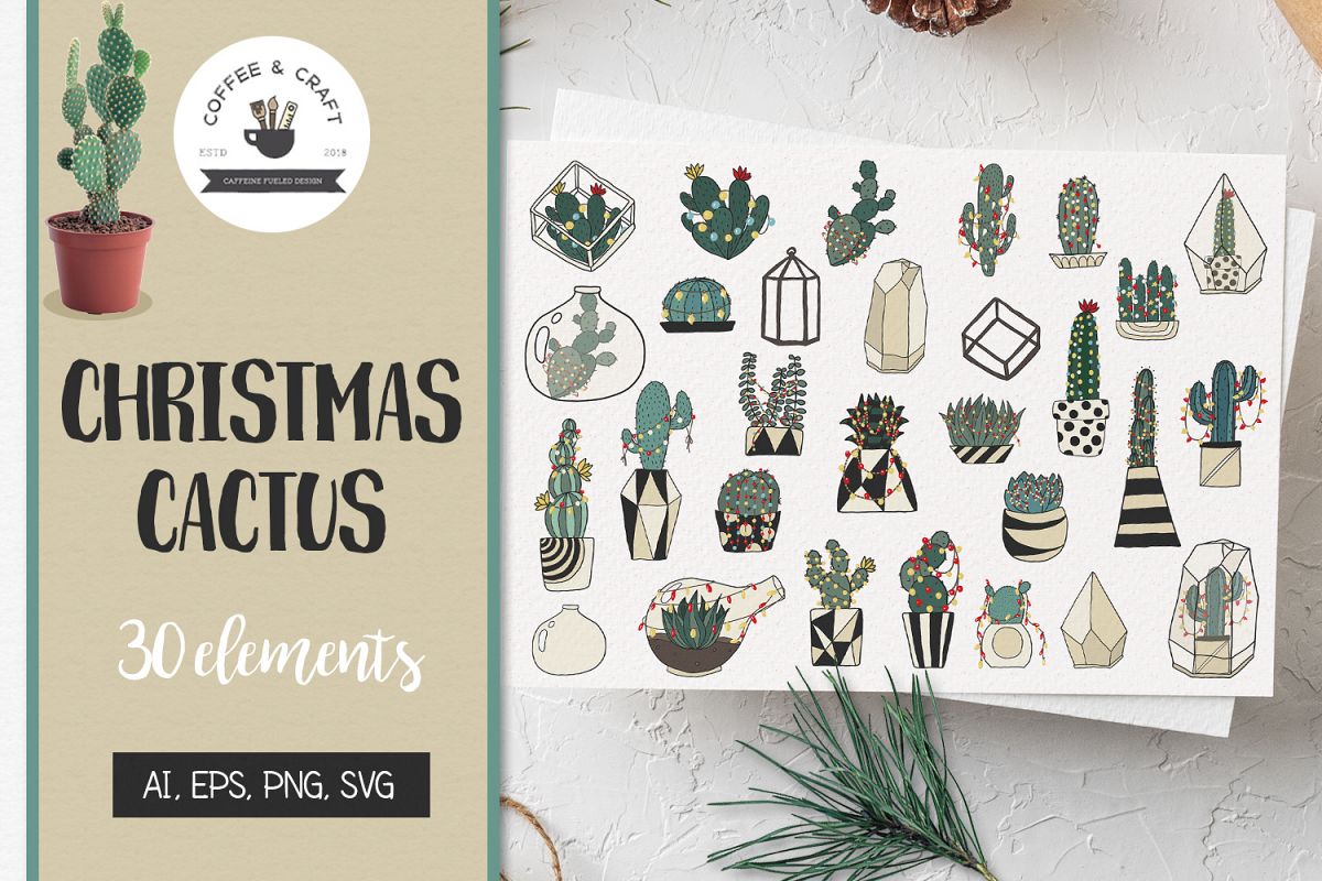 Christmas Cactus example image 1