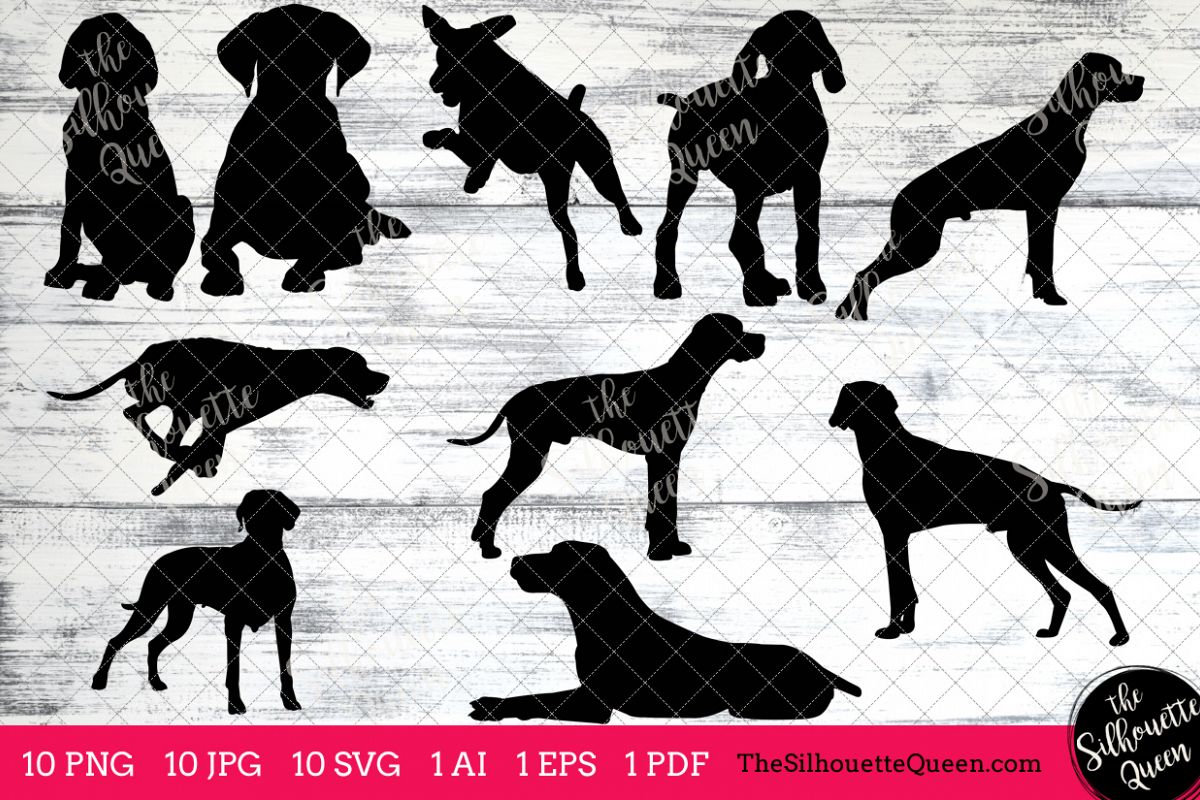 German Short Haired Pointer Dog Silhouettes Clipart Clip Art Ai