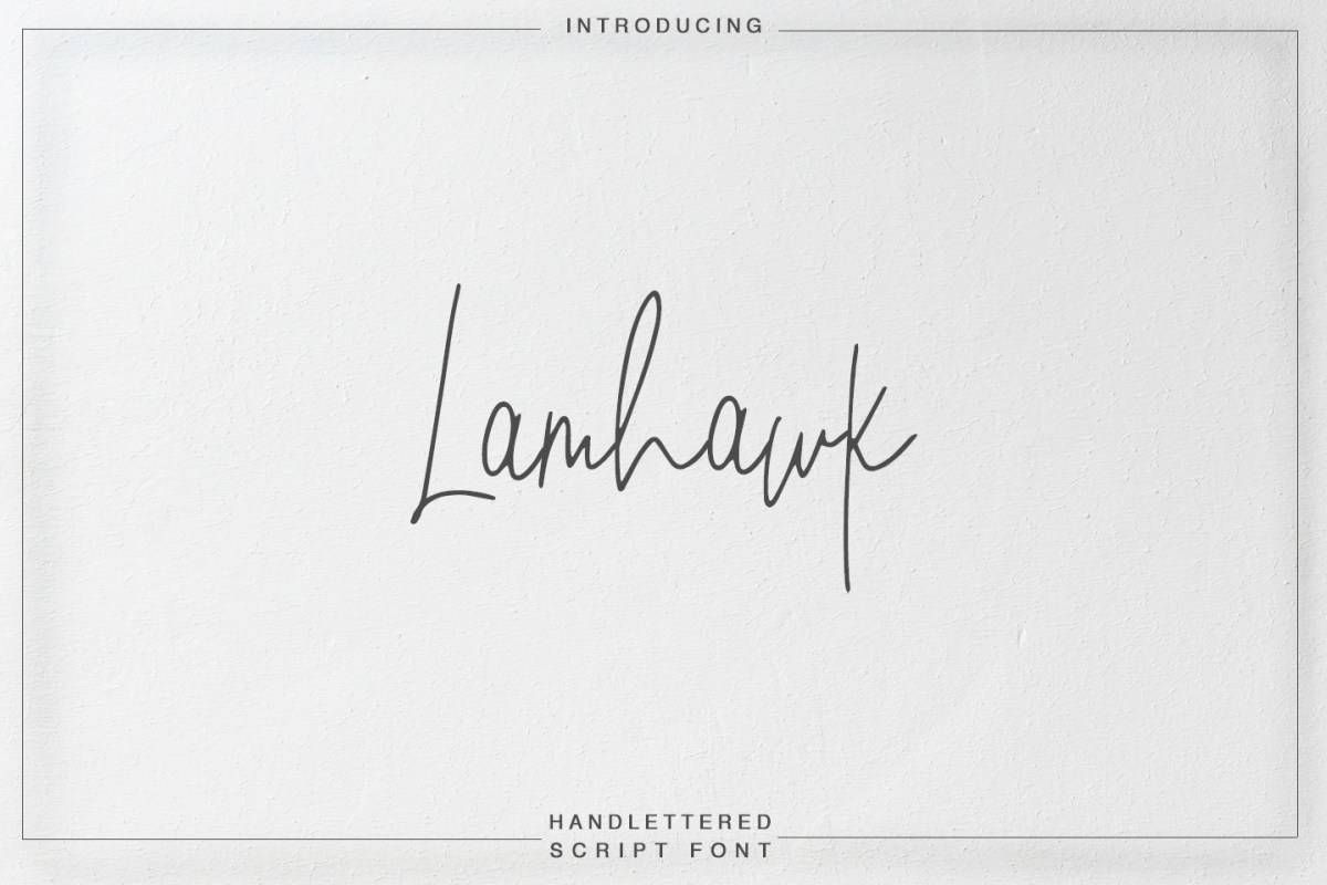 Lamhawk example image 1