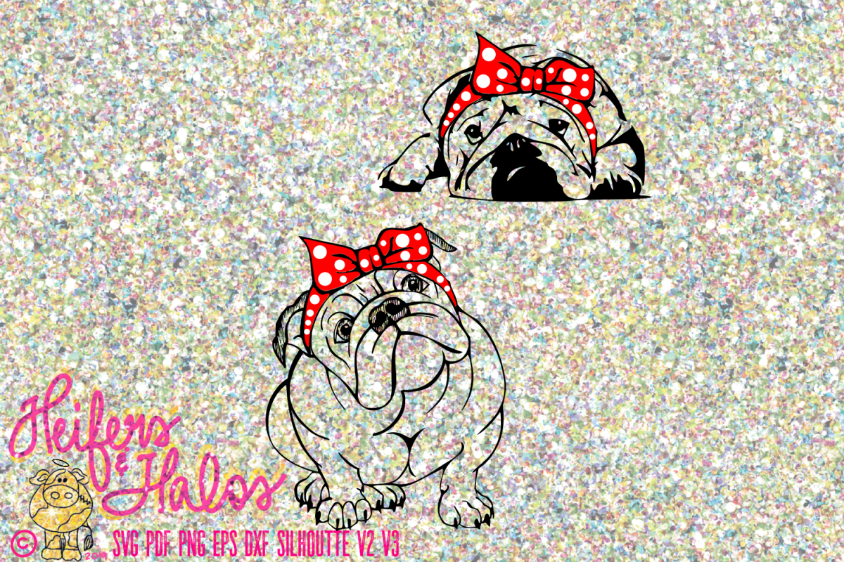 Bulldogs with bandana example image 1