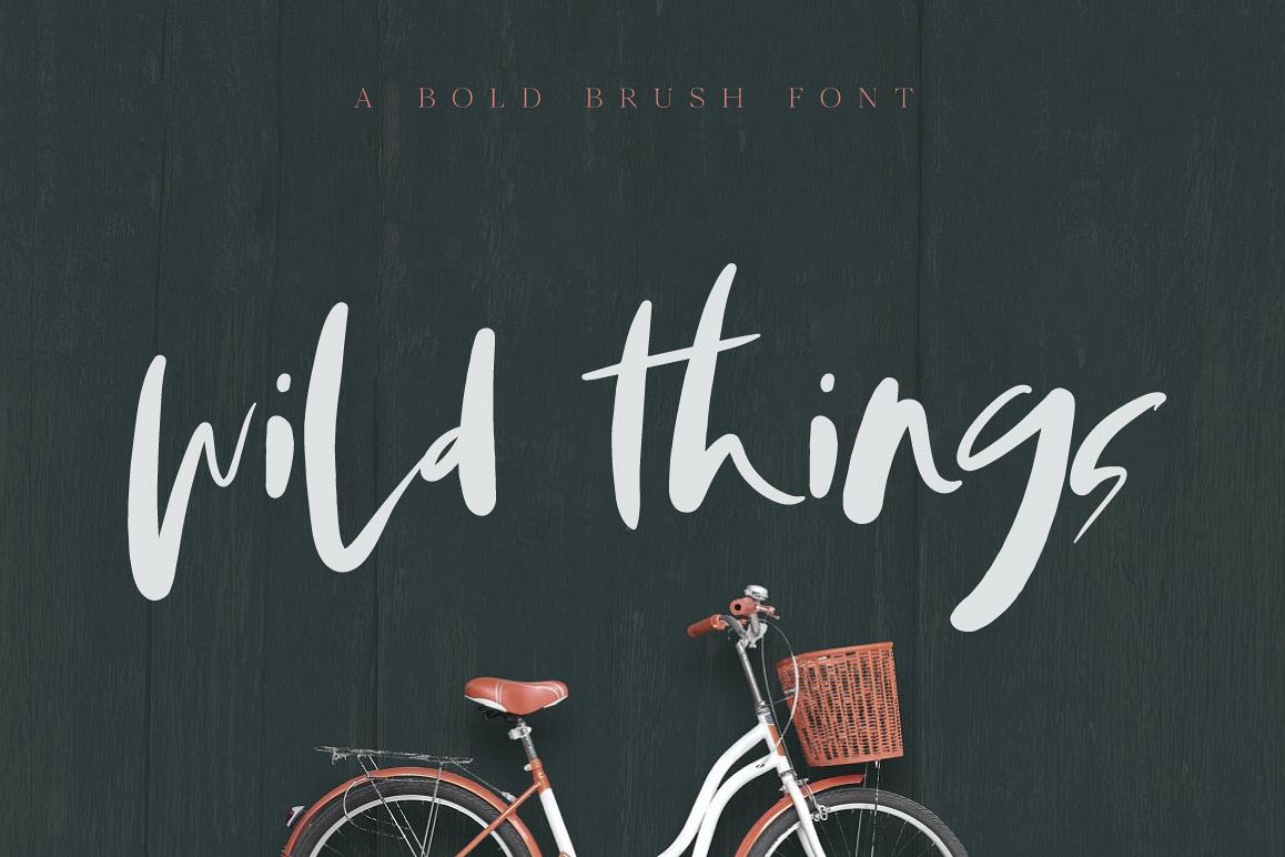 Wild Things Brush Font example image 1