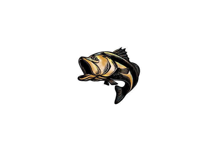 Largemouth Bass Scratchboard example image 1