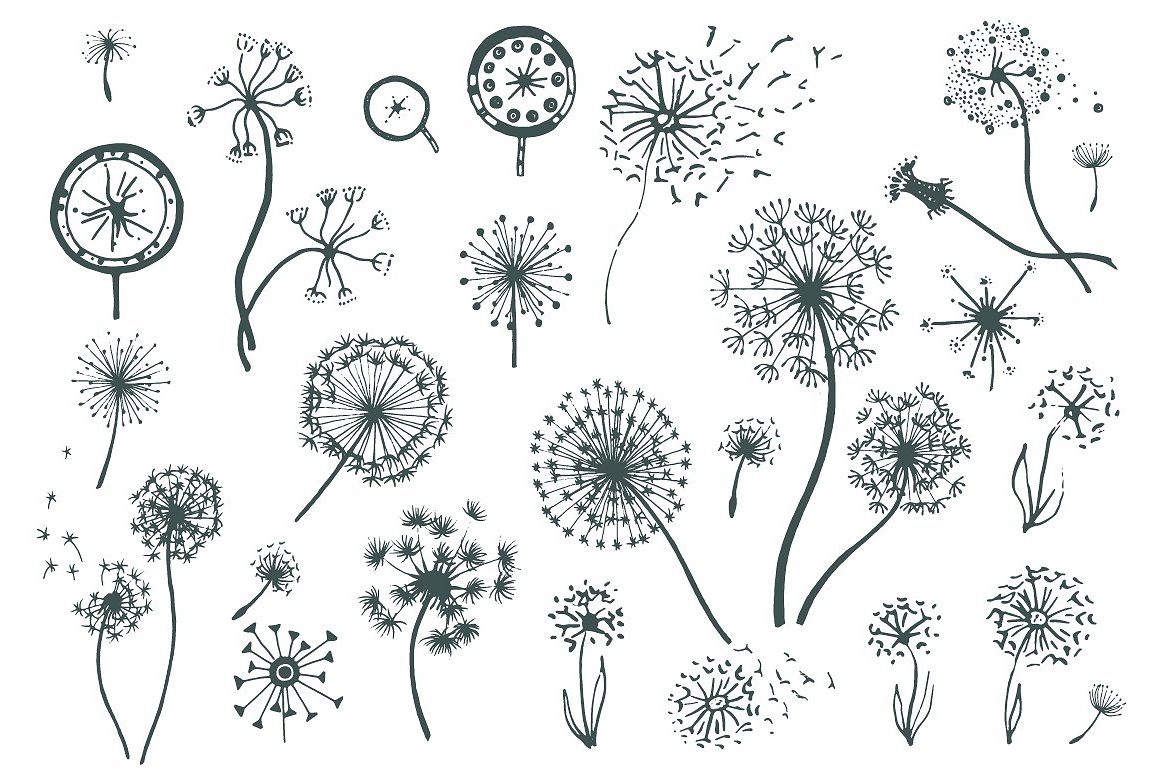 Set of dandelions example image 1