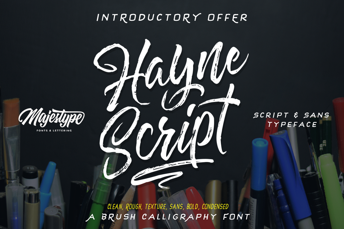 Hayne Script + Sans example image 1