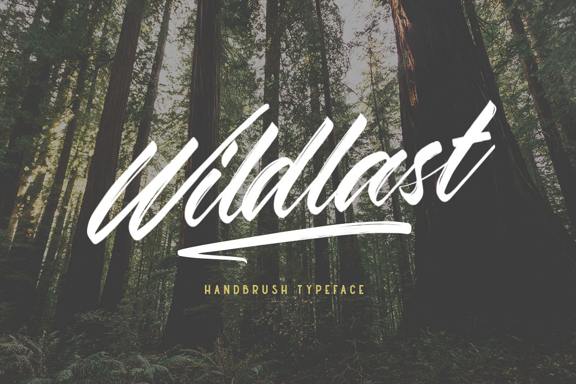 Wildlast Handbrush Typeface example image 1