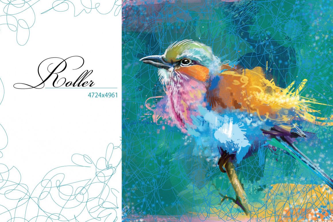 Roller example image 1