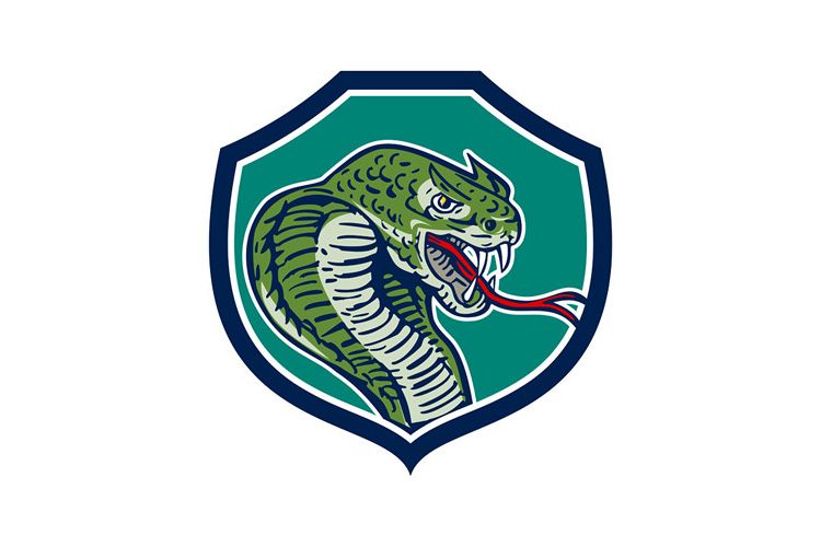 Cobra Viper Snake Shield Retro example image 1