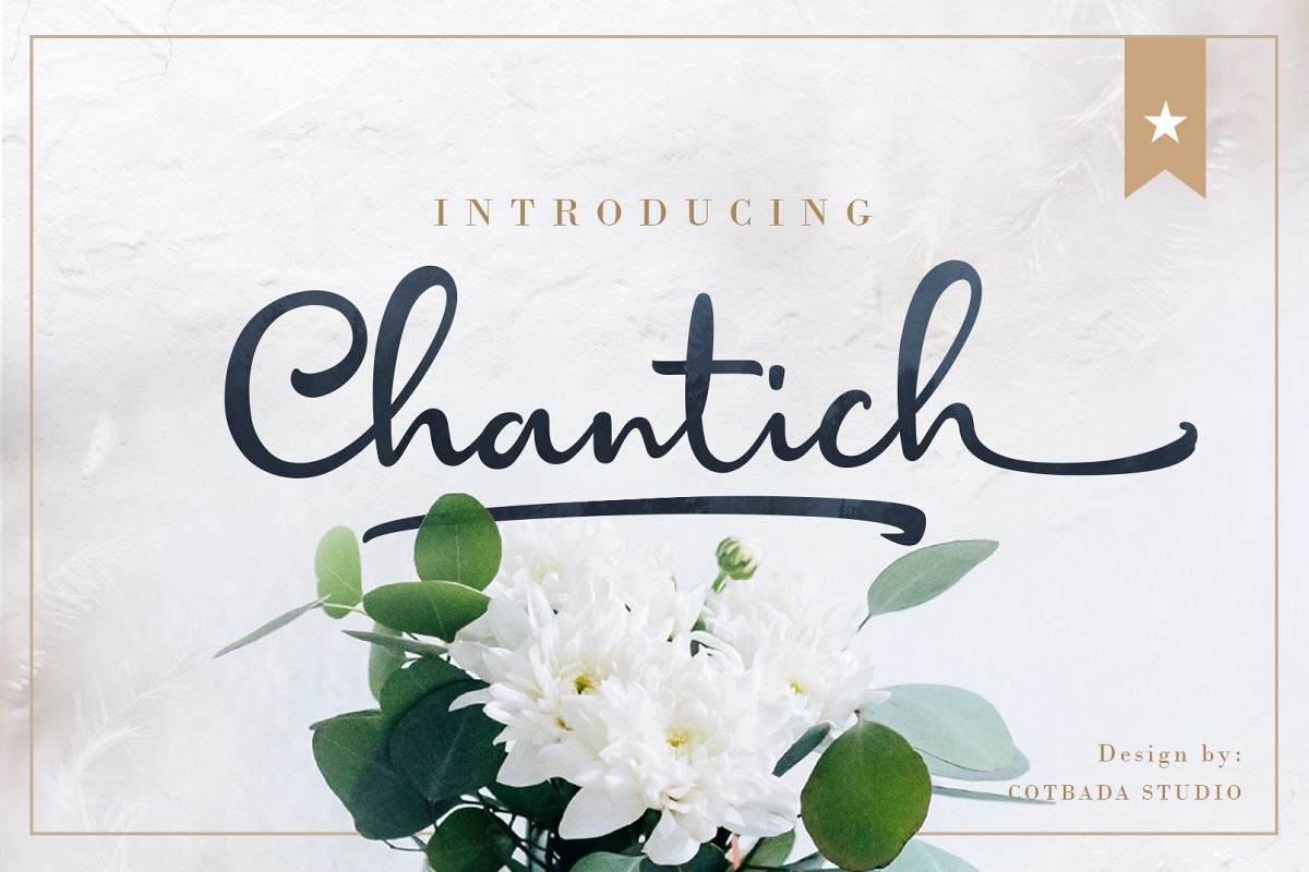 Chantich Script Font example image 1