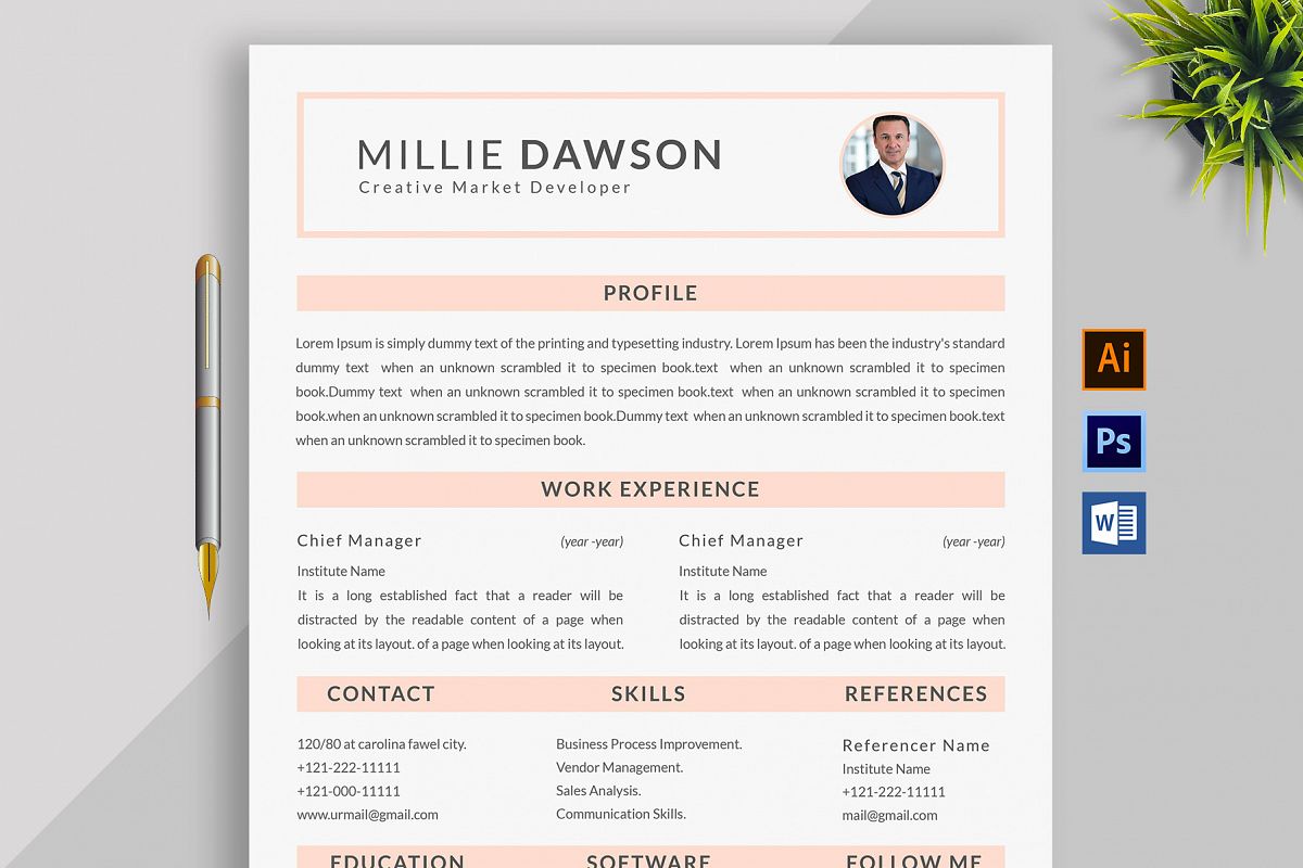 Professional Cv Resume Bonus business card Word/PSD,AI example image 1
